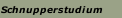Schnupperstudium
