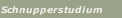 Schnupperstudium